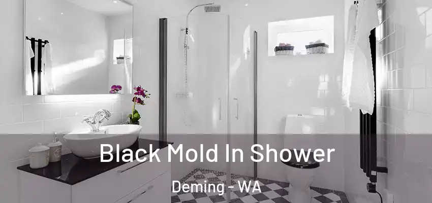 Black Mold In Shower Deming - WA
