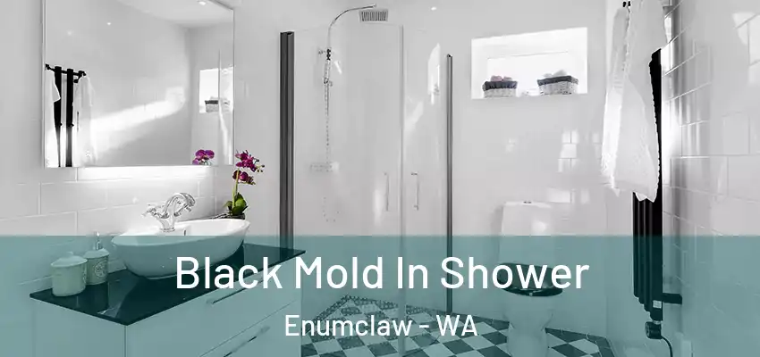  Black Mold In Shower Enumclaw - WA