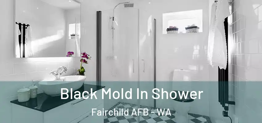  Black Mold In Shower Fairchild AFB - WA