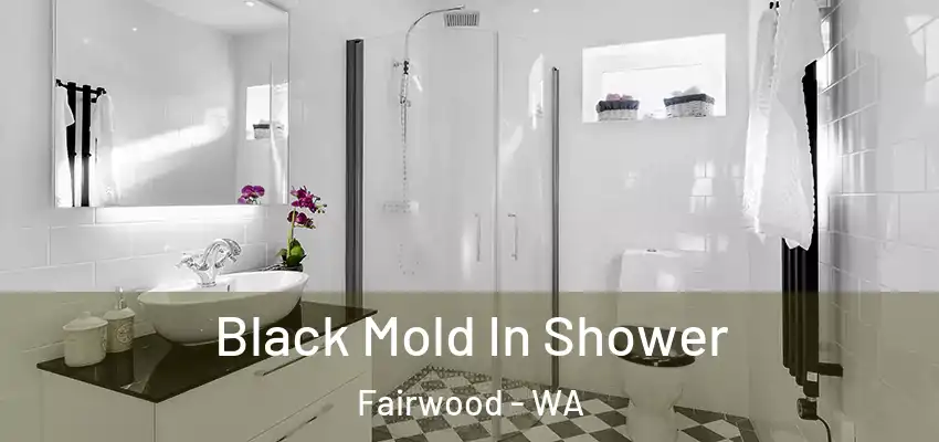  Black Mold In Shower Fairwood - WA