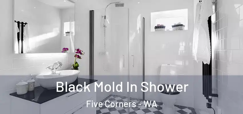  Black Mold In Shower Five Corners - WA