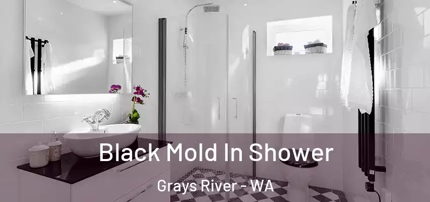  Black Mold In Shower Grays River - WA