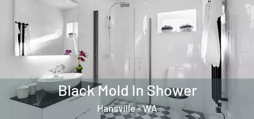 Black Mold In Shower Hansville - WA