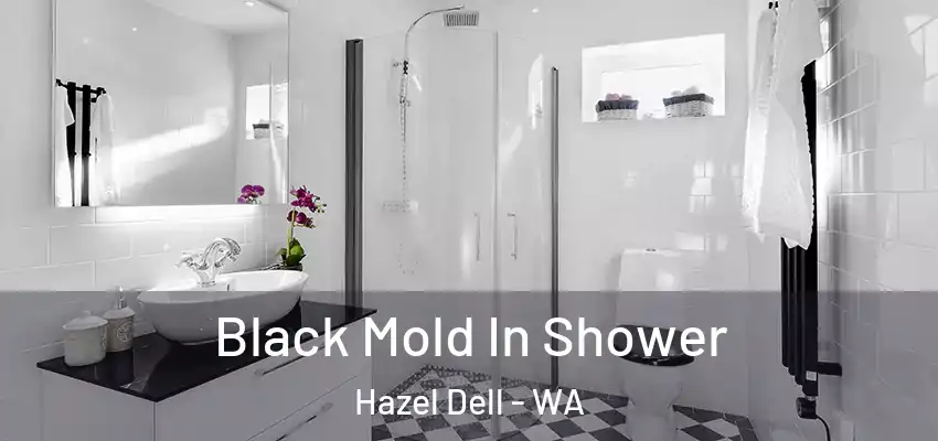  Black Mold In Shower Hazel Dell - WA