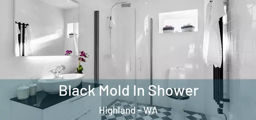 Black Mold In Shower Highland - WA