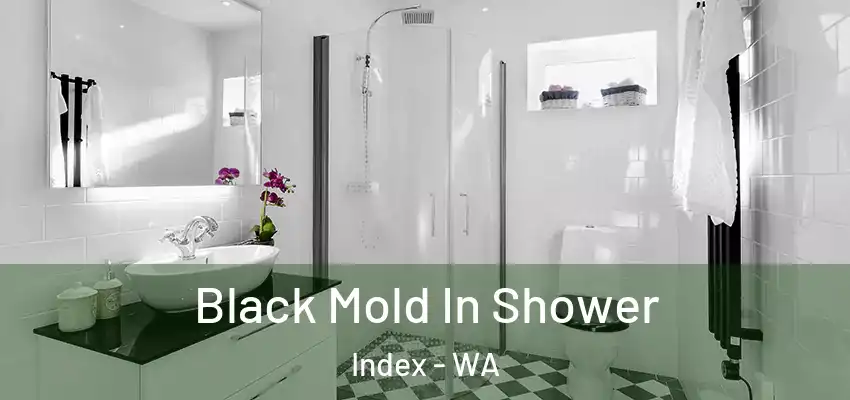  Black Mold In Shower Index - WA