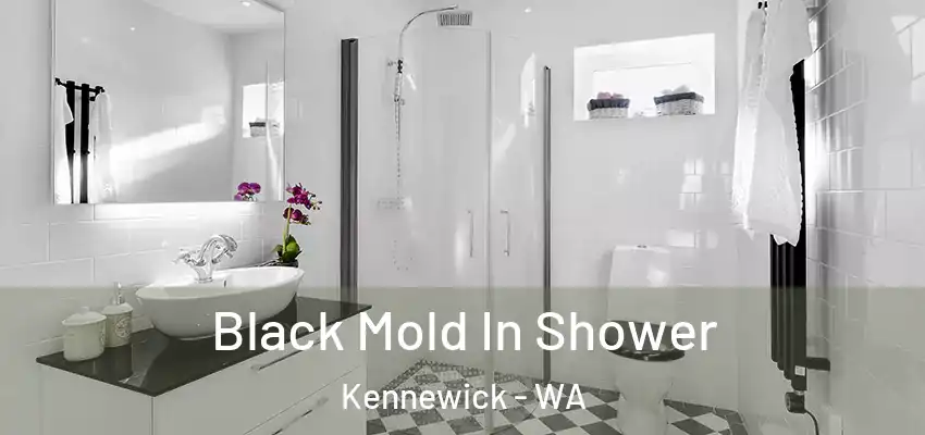  Black Mold In Shower Kennewick - WA