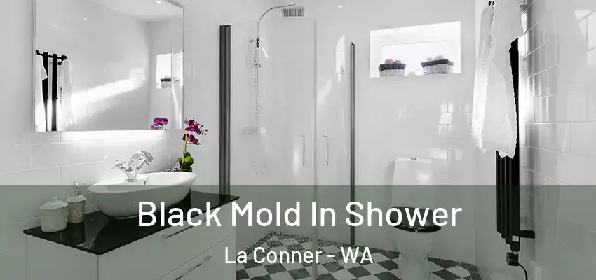  Black Mold In Shower La Conner - WA