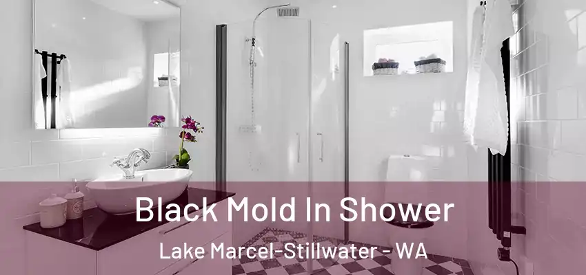  Black Mold In Shower Lake Marcel-Stillwater - WA