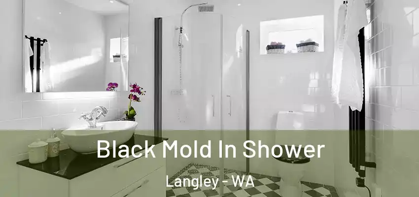  Black Mold In Shower Langley - WA