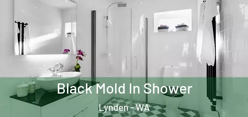 Black Mold In Shower Lynden - WA