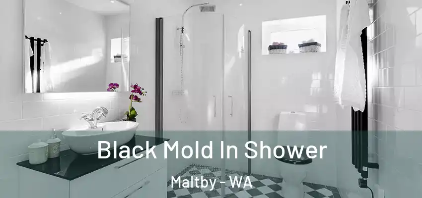  Black Mold In Shower Maltby - WA
