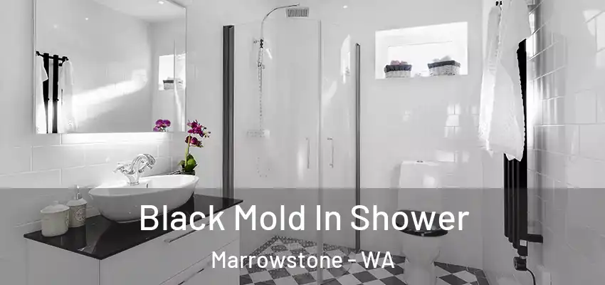  Black Mold In Shower Marrowstone - WA