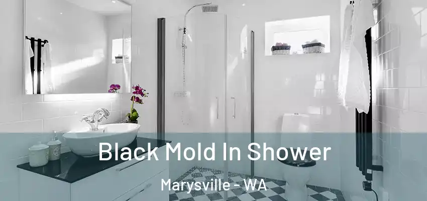  Black Mold In Shower Marysville - WA