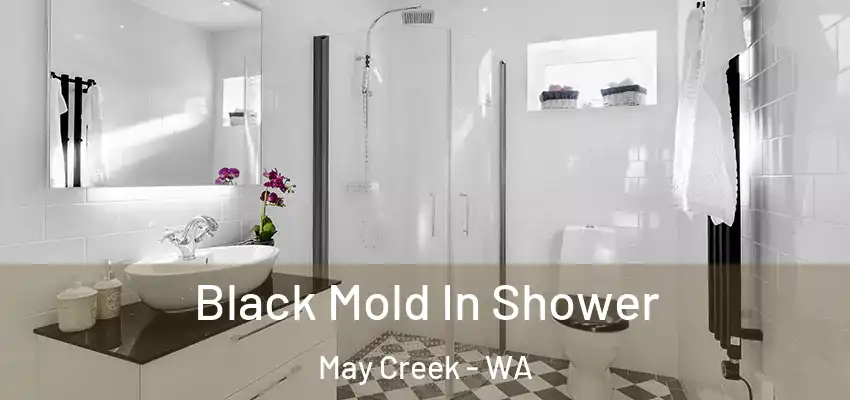  Black Mold In Shower May Creek - WA