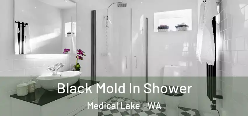 Black Mold In Shower Medical Lake - WA