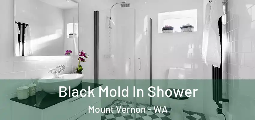 Black Mold In Shower Mount Vernon - WA