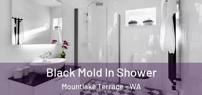  Black Mold In Shower Mountlake Terrace - WA