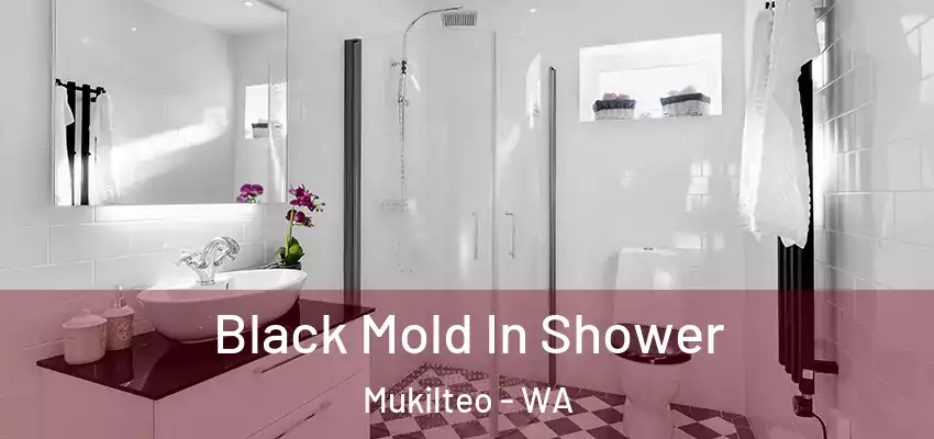  Black Mold In Shower Mukilteo - WA