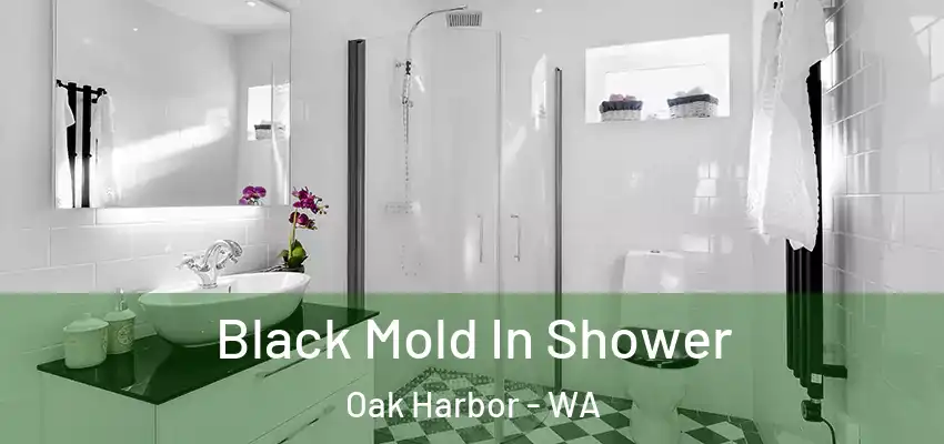 Black Mold In Shower Oak Harbor - WA