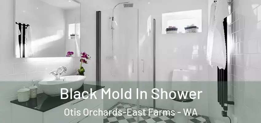 Black Mold In Shower Otis Orchards-East Farms - WA