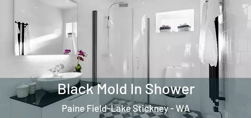  Black Mold In Shower Paine Field-Lake Stickney - WA
