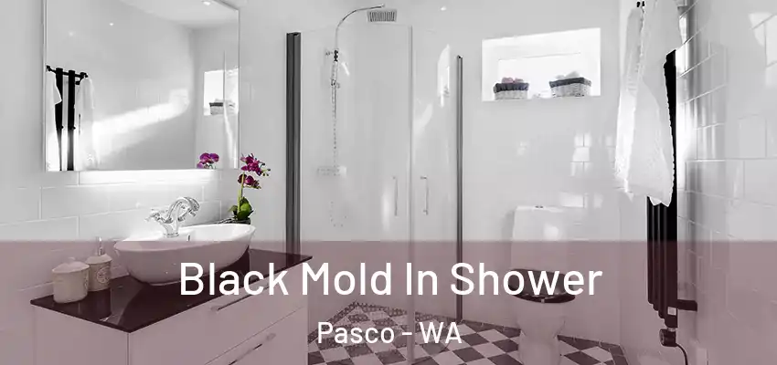  Black Mold In Shower Pasco - WA