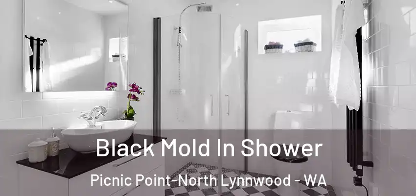Black Mold In Shower Picnic Point-North Lynnwood - WA