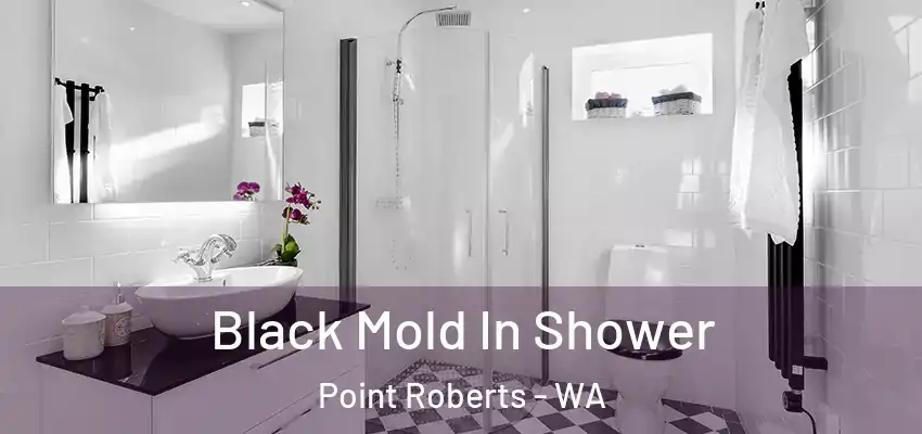  Black Mold In Shower Point Roberts - WA
