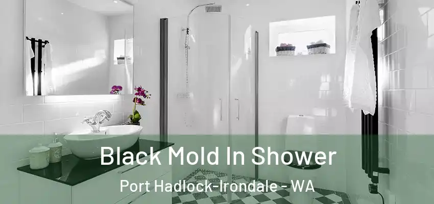  Black Mold In Shower Port Hadlock-Irondale - WA