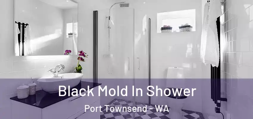  Black Mold In Shower Port Townsend - WA