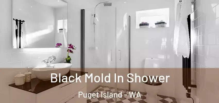  Black Mold In Shower Puget Island - WA