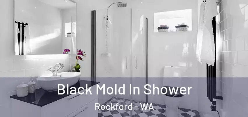  Black Mold In Shower Rockford - WA