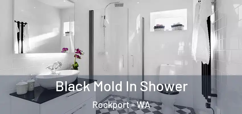  Black Mold In Shower Rockport - WA