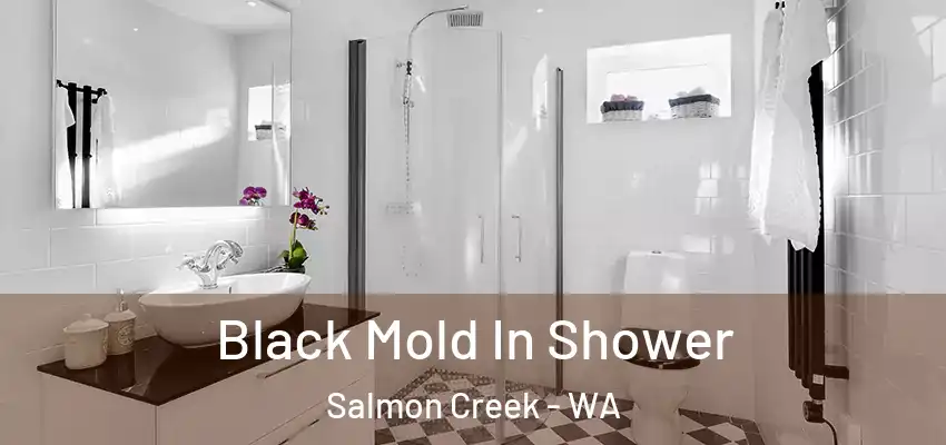  Black Mold In Shower Salmon Creek - WA