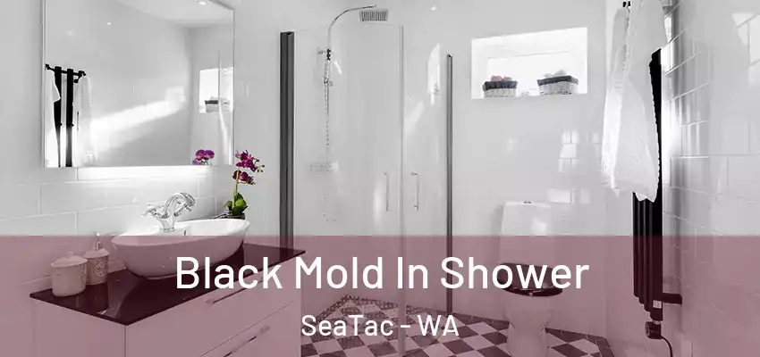 Black Mold In Shower SeaTac - WA