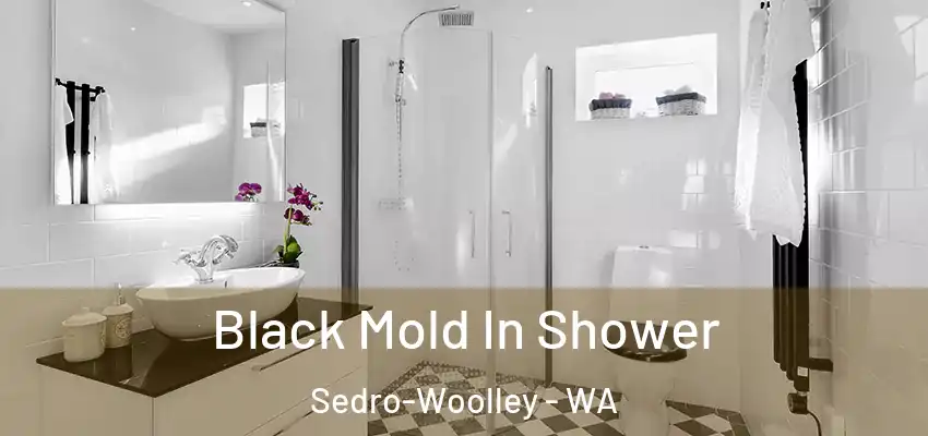 Black Mold In Shower Sedro-Woolley - WA