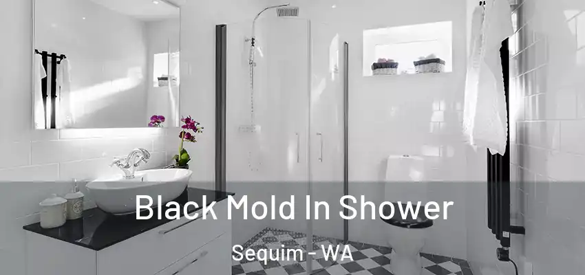  Black Mold In Shower Sequim - WA