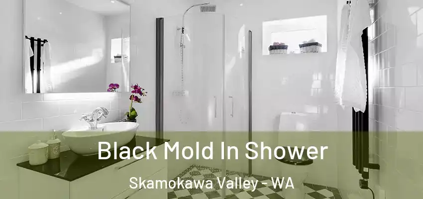  Black Mold In Shower Skamokawa Valley - WA