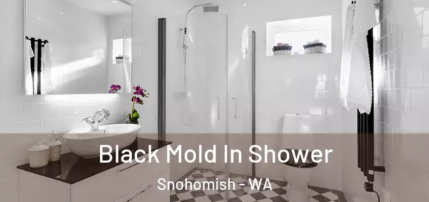  Black Mold In Shower Snohomish - WA