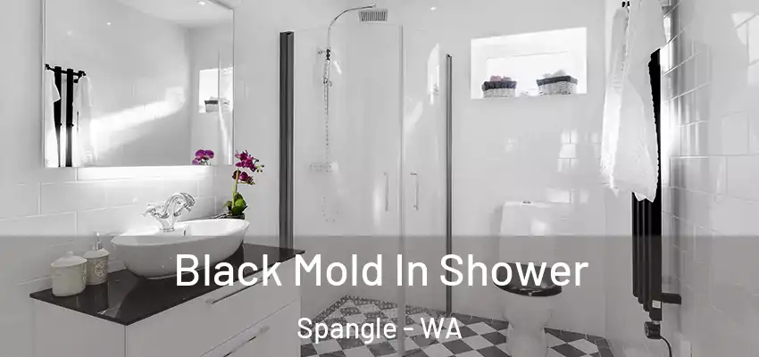  Black Mold In Shower Spangle - WA