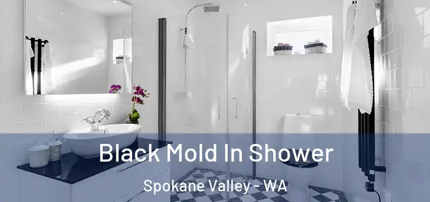 Black Mold In Shower Spokane Valley - WA
