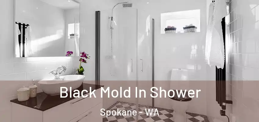  Black Mold In Shower Spokane - WA
