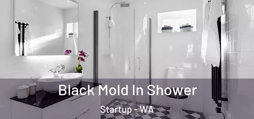  Black Mold In Shower Startup - WA
