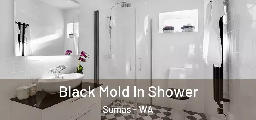  Black Mold In Shower Sumas - WA