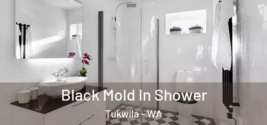  Black Mold In Shower Tukwila - WA