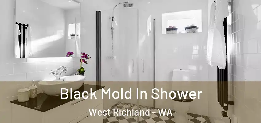 Black Mold In Shower West Richland - WA