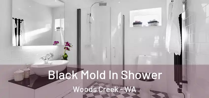  Black Mold In Shower Woods Creek - WA