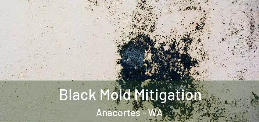  Black Mold Mitigation Anacortes - WA