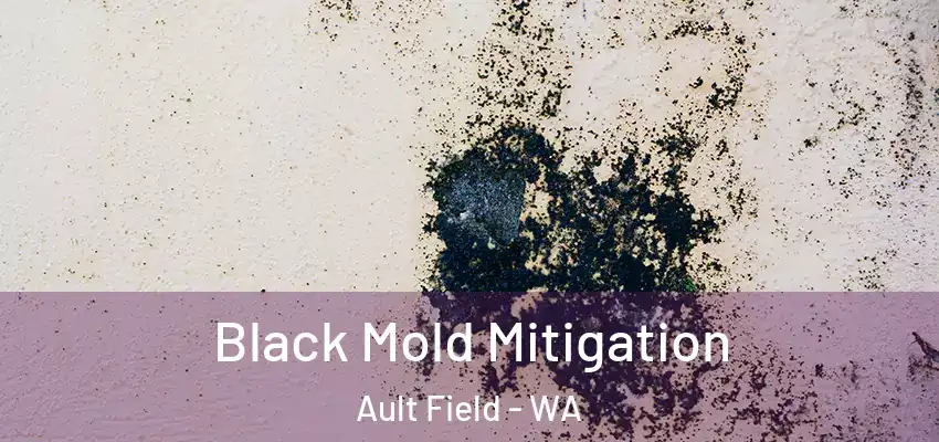  Black Mold Mitigation Ault Field - WA